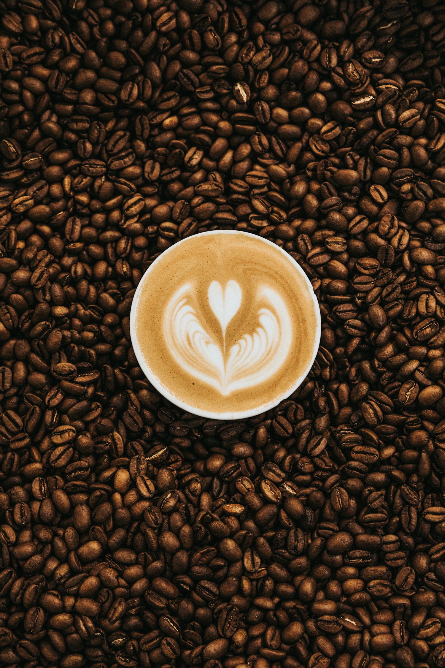 Latte met melkschuim op koffiebonen
